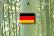 zur deutschen Version