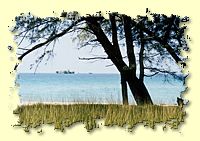 View to turtle island