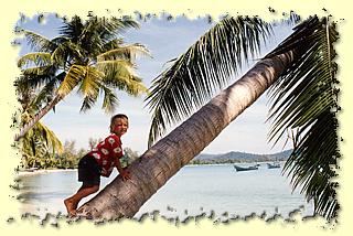 Nord-West Strand