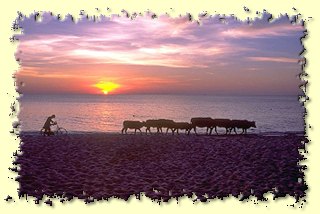ein Sonnenuntergang auf der Insel